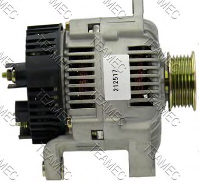TEAMEC 212517 Alternator